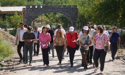 Hevşaredar Bucak Baxçeyên Hevselê û Geliyê Dîcleyê saxtî kir