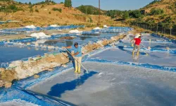 Li Batmanê germayî bo karê wan baş e: Berhemanîna xwê zede dibe