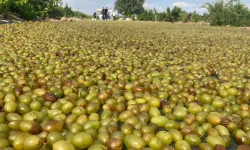 Dest bi hişkirina tirîya pêxemberê hat kirin