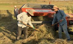 Li Agiriyê cotkar ji bo debara zivistanê ya heywanên xwe şev û roj dixebitin